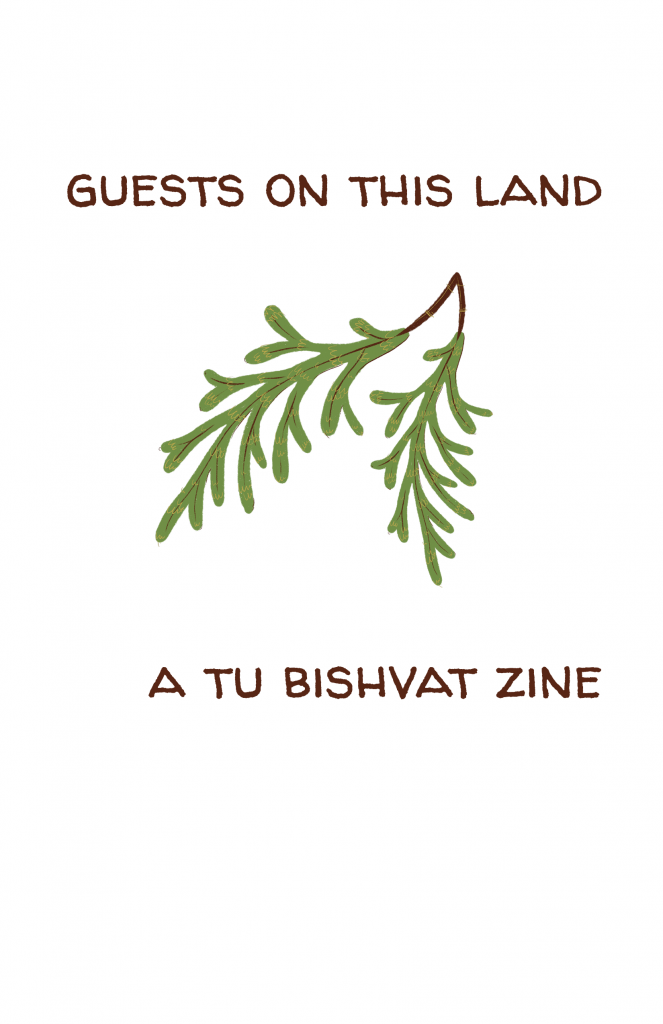 A white background with handwritten words reading "Guests on this land: a pacific northwest tu bishvat" and an illustration of a redcedar branch